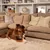 Cane marrone sdraiato su tappeto davanti a divano beige, tiene un gioco a forma di osso con logo visibile '2in1'.