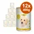 Confezione da 12 lattine da 400 g di cibo per cani DOG, Junior 2–10 mesi, con pollo, zucchine e mela. Testo visibile: 'GEFLÜGEL', 'JUNIOR', 'MIT ZUCCHINI & APFEL'. Confezione da 12 lattine da 400 g di cibo per cani DOG, Junior 2–10 mesi, con pollo, zucchine e mela. Testo visibile: 'GEFLÜGEL', 'JUNIOR', 'MIT ZUCCHINI & APFEL'.