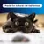 Ever Clean® Fast Acting Odour Control Clumping Cat Litter