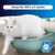 Ever Clean® Total Cover Clumping Cat Litter - Unscented