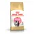 Zak Royal Canin Kitten Persian kattenvoer, afbeelding van een Perzische kitten, tekst: 'Healthy growth & long hair, unique kibble', Feline Breed Nutrition.