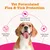 Zesty Paws Flea & Tick Spray - 250ml Zesty Paws Flea & Tick Spray - 250ml