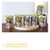 Probierpaket GimCat Near Nature 12 x 85 g