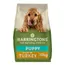 Harringtons Puppy Complete Dry Food Rich in Turkey & Rice - Multibuy: 2 x 10kg