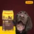 Josera Junior Kids Hundefutter, 12,5 kg, zur Aufzucht mittelgrosser und grosser Rassen. Glutenfreie Rezeptur. Abgebildet: Hund mit Futterstück im Maul.