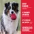 KONG Rubber: non-toxic, safe, natural and durable. Does not splinter, gentle on teeth, robust for enthusiastic chewers. KONG Rubber: non-toxic, safe, natural and durable. Does not splinter, gentle on teeth, robust for enthusiastic chewers.