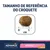 Tamanho de referência do croquete Advance Veterinary Diets Atopic & Food Sensitivity com coelho, diâmetro aproximado de 1 cm visível na régua.