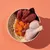 Bowl containing raw beef pieces, chicken drumstick, sliced carrots and cooked rice, showing visible ingredients of pet food.