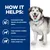 Formulated to help dissolve struvite bladder stones. Helps maintain a healthy bladder. Nutrition that supports visible weight loss. (Κείμενο στα αγγλικά)