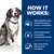 How it works: Highly digestible formula with selected proteins and carbohydrates, unique prebiotic blend for gut bacteria, high energy density, clinically proven antioxidants.