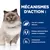MÉCANISMES D’ACTION : Taux de L-carnitine efficaces, mélange optimal de fibres solubles et insolubles, antioxydants cliniquement prouvés. Chat à poils longs visible à gauche.