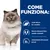 COME FUNZIONA: Livelli efficaci di L-carnitina, miscela ottimale di fibre solubili e insolubili, antiossidanti clinicamente provati. Gatto a pelo lungo con collare blu.