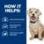 How it helps: helps manage blood sugar, helps maintain lean muscle mass, helps maintain a healthy body weight. Three icons illustrate each benefit.
