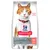 Hill's Science Plan Sterilised Cat Adult 1–6 met zalm, verpakking toont oranje-witte kat en tekst: 'Unique Weight Management Formula helps keep sterilised cats lean', zonder kunstmatige toevoegingen.