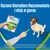 Purina Dentalife ActivFresh per cani, raccomandazione: 1 stick al giorno. Immagine di un cane e una mano che offre uno stick, confezione visibile. Testo con istruzioni alimentari.
