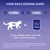 Feeding guide: cat weight 4 kg equals Purina ONE 3x85g pouches per day. For an average senior cat of 4 kg, feed 3 pouches daily. Adjust amounts as needed; water should be available.