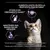 Aumenta hasta un 50 % la respuesta inmunitaria, ayuda a un crecimiento sano y mantener una buena salud urinaria. Imagen de un gato y gráficos informativos. Texto explicativo de estudios.