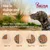 Feeding guide showing how to change food: every 3 days, replace a quarter of current food with new food. Day 1-3, 4-6, 7-10, and day 11+ shown with bowls illustrating the mix.