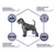 Perro con gráficos sobre beneficios articulares: colágeno hidrolizado, glucosamina y condroitina, ácido hialurónico y omega 3 y 6, antioxidantes. Textos explican sus funciones visibles.