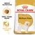 Royal Canin Bichon Frise Adult