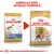 Imagine comparativă cu două ambalaje de hrană pentru câini Royal Canin Boxer Adult, text vizibil: „AMBALAJ NOU, ACEEAȘI FORMULĂ”. Ambalajul vechi și nou sunt prezentate alăturat.
