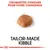 Croquettes conçues pour votre chihuahua, visuel d'une croquette individuelle, texte en anglais : tailor-made kibble. Marque Royal Canin visible.