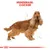Royal Canin Cocker Adult
