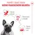 Royal Canin French Bulldog Loaf Royal Canin French Bulldog Loaf