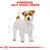 Royal Canin Jack Russell Terrier Adult