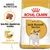 Royal Canin Adult Jack Russell Terrier hondenvoer, afbeelding van hond, tekst: Specifiek afgestemde brokken, Spier- & vitaliteitscomplex, Breed Nutrition Royal Canin Adult Jack Russell Terrier hondenvoer, afbeelding van hond, tekst: Specifiek afgestemde brokken, Spier- & vitaliteitscomplex, Breed Nutrition