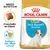 Royal Canin Puppy Jack Russell Terrier, crocchetta su misura, sostegno alle difese naturali. Immagine di un cucciolo e della forma della crocchetta sulla confezione.