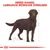 Κείμενο: BREED RANGE: LABRADOR RETRIEVER STERILISED. Εικόνα σκύλου Labrador Retriever με γραμμές μέτρησης ύψους και μήκους.