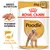 Royal Canin Adult Poodle våtfoder 85 g x12. Text: Anpassad konsistens, Frisk och glansig päls, Breed Nutrition. Bild på pudel och foderbit.