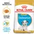 Balení krmiva ROYAL CANIN PUPPY Dalmatian, obrázek granule, text: Granule na míru, Podpora imunitního systému, BREED NUTRITION