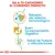 Da a tu cachorro el comienzo perfecto. Refuerzo del sistema inmunológico, buen funcionamiento digestivo, salud de huesos y articulaciones.