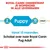 Royal Canin ondersteunt je mopshond in alle levensfasen. Puppy: 2–10 maanden. Vanaf 10 maanden: schakel over naar Royal Canin Pug Adult.