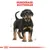 Royal Canin Rottweiler Puppy
