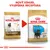 Porovnání starého a nového balení krmiva Royal Canin Rottweiler pro štěňata, nápis: Nový vzhled, vylepšená receptura. Viditelné texty: Junior, Puppy, Up to 18 months old.