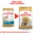Royal Canin Shih Tzu Adult -koiranruoan pakkausuudistus: vasemmalla vanha, oikealla uusi pakkaus. Teksti ylhäällä: NEW LOOK, SAME FORMULA.