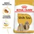 Sachet Royal Canin Adult Shih Tzu, texte visible : Breed Nutrition, Croquette sur-mesure, Peau saine, image d’une croquette et d’un chien Shih Tzu à poil long. Sachet Royal Canin Adult Shih Tzu, texte visible : Breed Nutrition, Croquette sur-mesure, Peau saine, image d’une croquette et d’un chien Shih Tzu à poil long.