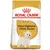 Opakowanie karmy Royal Canin Adult West Highland White Terrier z wizerunkiem psa tej rasy i widoczną nazwą produktu na żółtym tle.