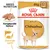 Royal Canin Adult Chihuahua natvoer, 85g x12. Tekst: Breed Nutrition, aangepaste textuur, gezonde vacht. Afbeelding van een chihuahua en voer op een bord. Royal Canin Adult Chihuahua natvoer, 85g x12. Tekst: Breed Nutrition, aangepaste textuur, gezonde vacht. Afbeelding van een chihuahua en voer op een bord.