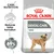 Dental care product with claim of reducing tartar formation, proven results up to 69% reduced tartar formation, and image of a small dog on the packaging. Dental care product with claim of reducing tartar formation, proven results up to 69% reduced tartar formation, and image of a small dog on the packaging.