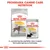 ROYAL CANIN Dermacomfort MAXI e ALL SIZES, fórmulas seca e húmida para cães. Texto: Programa Canine Care Nutrition. 91 % de satisfação. Embalagens com imagens de cães.