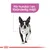 Text: För hundar i en föränderlig miljö. Illustration av svartvit hund, Royal Canin-symbol längst ner.