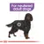For neutered adult dogs