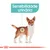 Ilustração de cão com destaque na zona urinária e texto visível: Sensibilidade urinária.