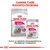 Royal Canin Exigent MINI -kuivaruoka ja Exigent ALL SIZES -säilykeruoka koirille, pakkaukset näkyvissä. Teksti: Canine Care -ravinto-ohjelma, täydellinen yhdistelmä.