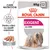 Pachet Royal Canin Exigent All Sizes, 85g x12, pate. Text vizibil: Pentru câini cu apetit capricios, Care Nutrition. Imagine cu un câine și felii de pate. Pachet Royal Canin Exigent All Sizes, 85g x12, pate. Text vizibil: Pentru câini cu apetit capricios, Care Nutrition. Imagine cu un câine și felii de pate.
