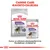 Royal Canin Sterilised Mini -kuivaruoka ja Sterilised All Sizes 85 g -säilykeruoka koirille. Teksti: Canine Care -ravinto-ohjelma, kuiva- ja säilykeruokareseptiemme täydellinen yhdistelmä.